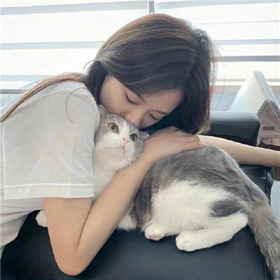 视点锋汇