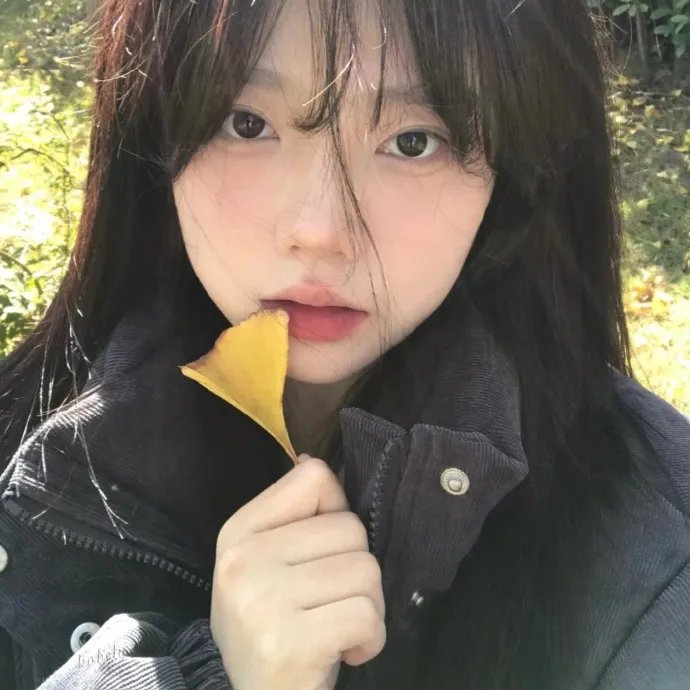 圆月映花都